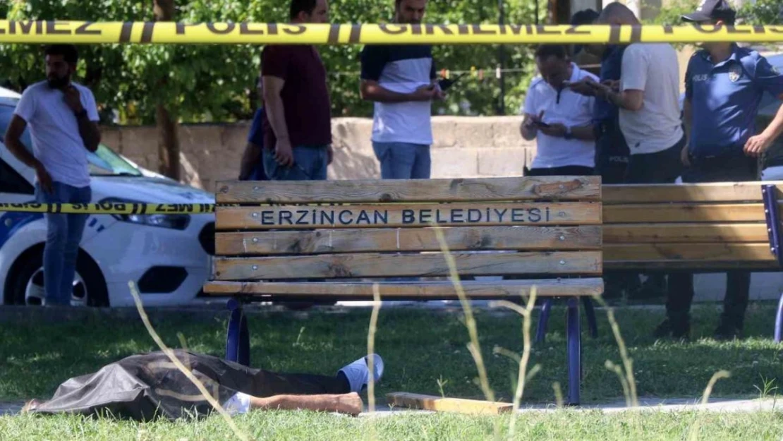 Erzincan'da parkta şüpheli ölüm