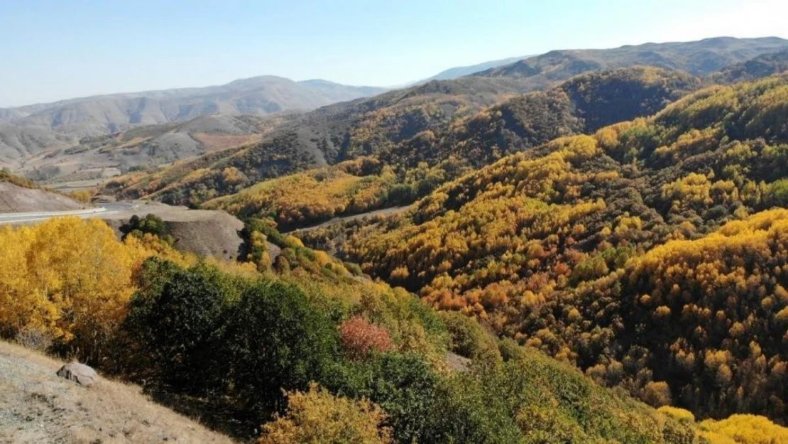 Erzincan'da sonbaharda renk cümbüşü