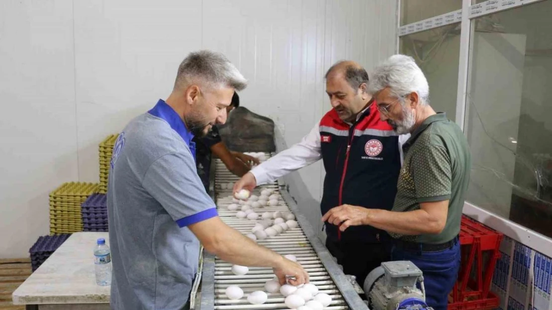 Erzincan'da tam otomatik tesislerde üretilen yumurtalar tarıma değer katıyor