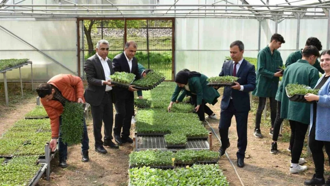 Erzincan'da tarım bölümü öğrencileri hem öğreniyor, hem üretiyor