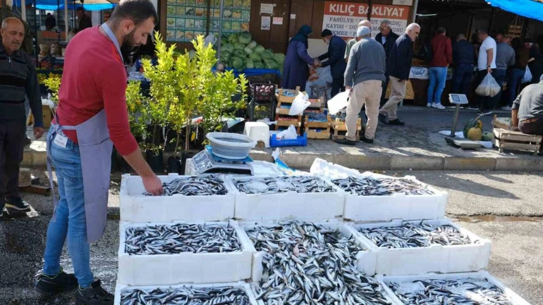 Erzincan'da tezgahlarda hamsi bolluğu