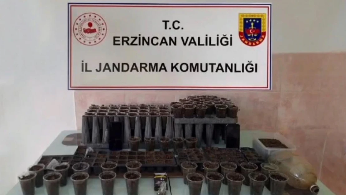 Erzincan'da uyuşturucu operasyonu: 1 kişi tutuklandı