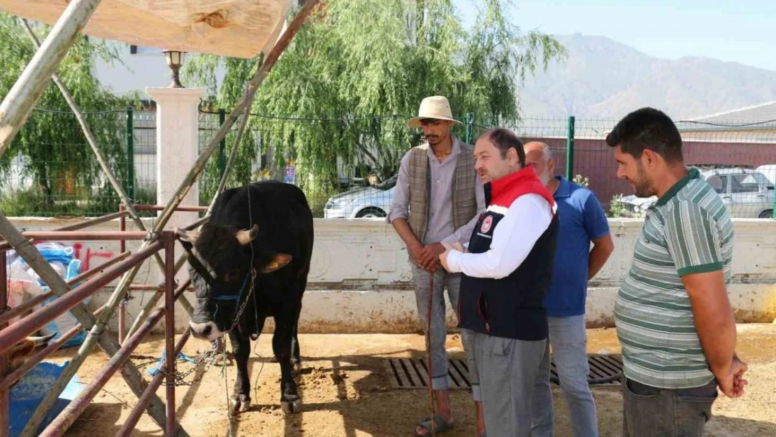 Erzincan Hayvan Pazarında denetimler sürüyor