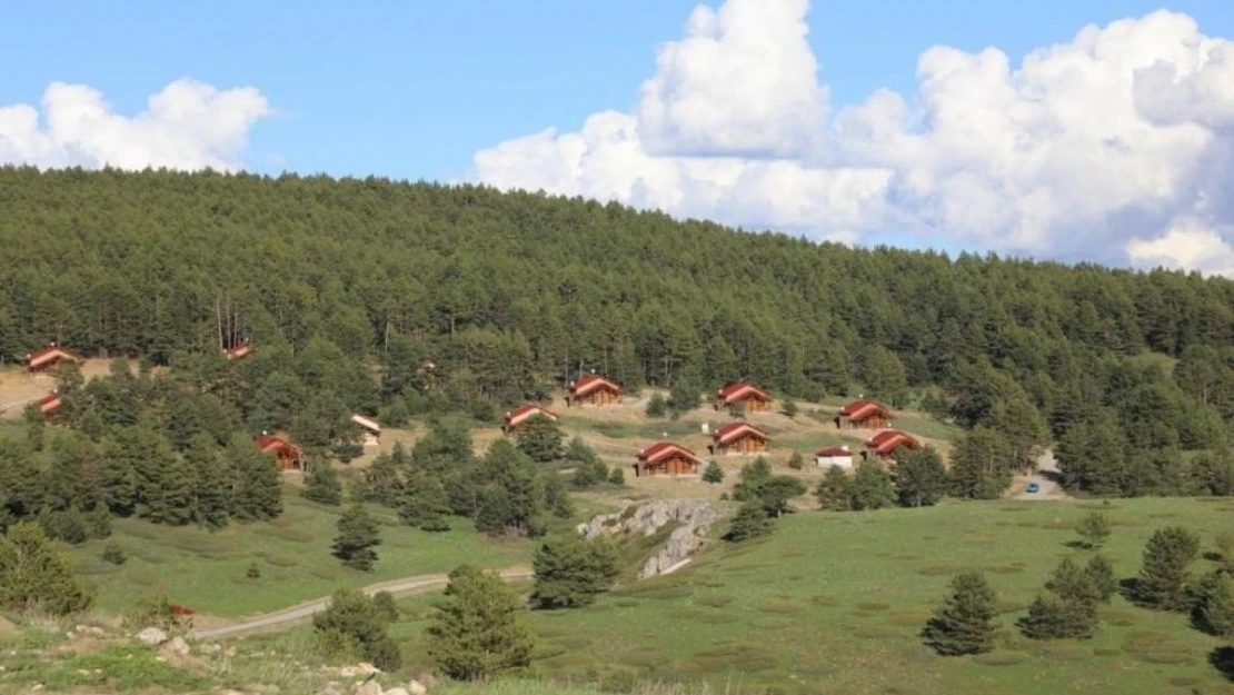 Erzincan'ın yeşil cenneti: Dumanlı Tabiat Parkı