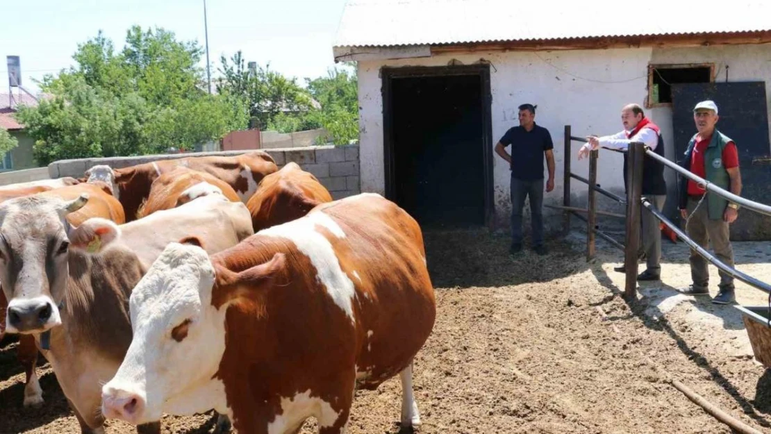 Erzincan Tarımdan küçük aile işletmelerine ziyaret