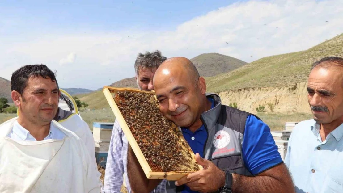 Erzurum'da arıcılara ana arı üretimi öğretildi