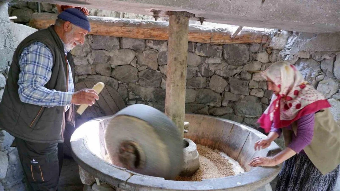 Erzurum'da baba yadigârı su değirmeni