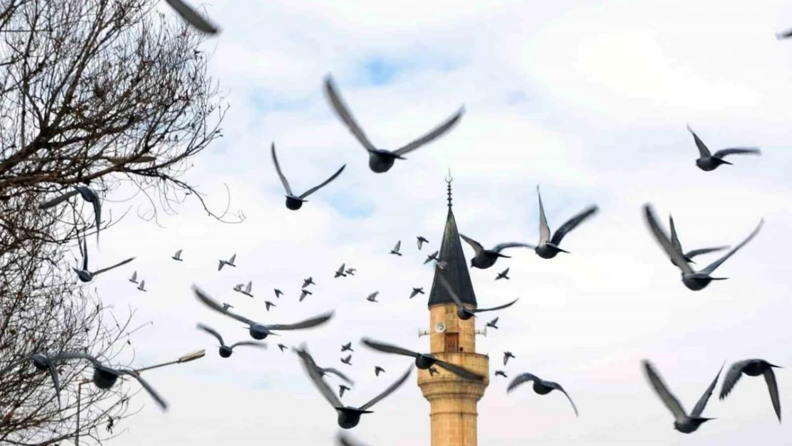 Erzurum'da bin 601 cami bulunuyor