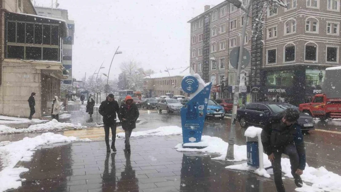 Erzurum'da mart sonunda lapa lapa kar yağdı