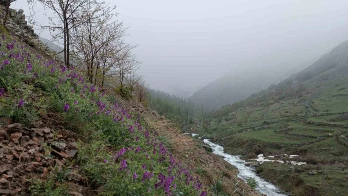 Erzurum'da mayıs ayında kar sürprizi