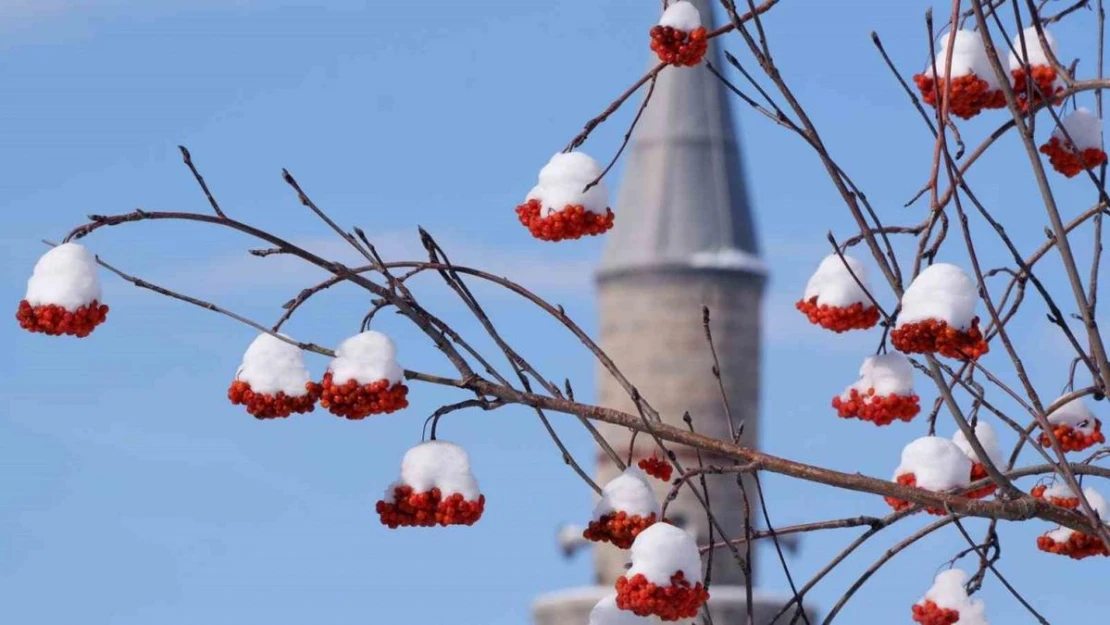 Erzurum hafta sonuna kadar kar yağışı bekleniyor