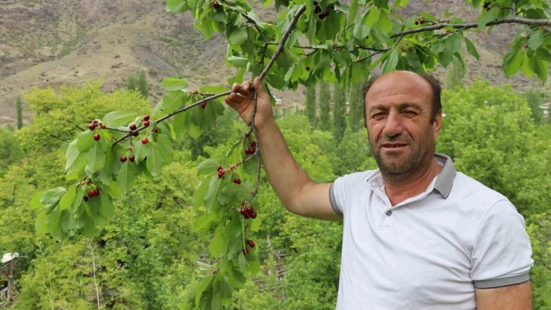 Erzurum'un dağlarında kar, bağlarında kiraz var