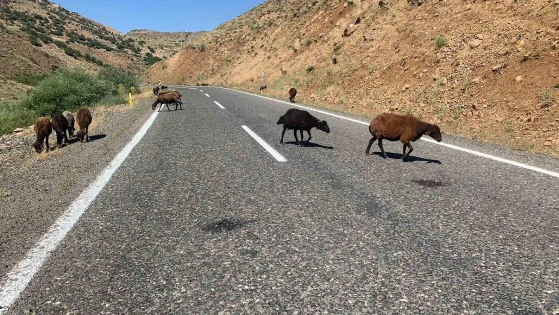 Erzurum Valiliğinden ceza açıklaması