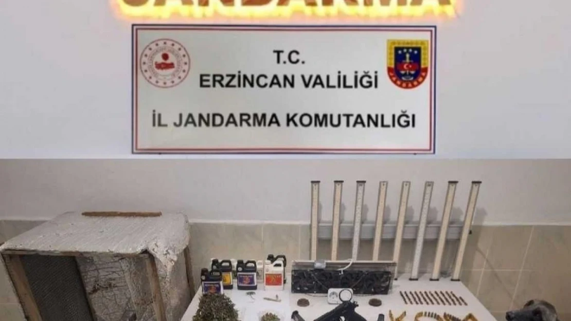 Evinde uyuşturucu yetiştiren 1 kişi gözaltına alındı