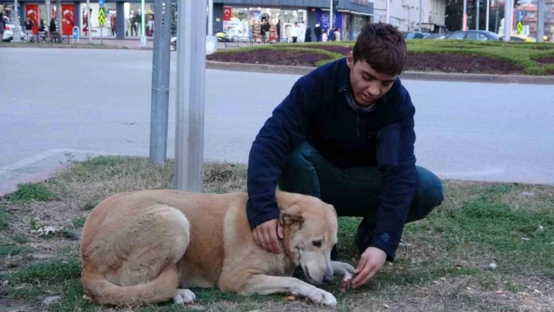 Evsiz gencin en iyi arkadaşı sokak hayvanları oldu