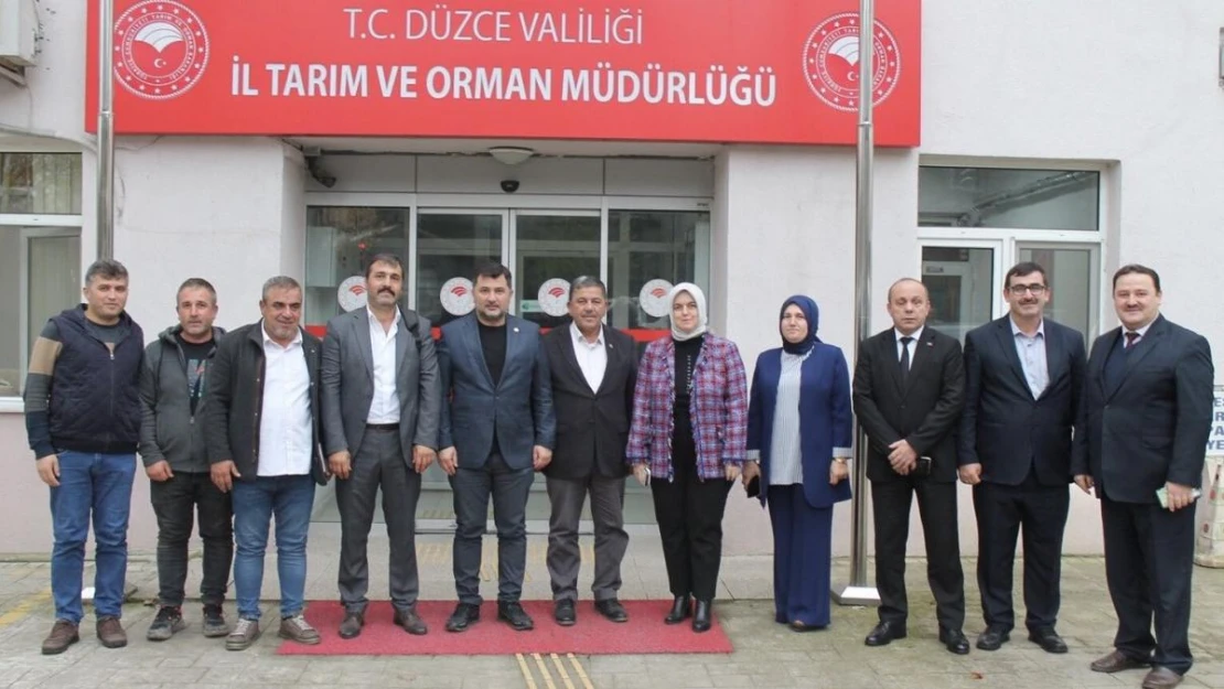 Fındık tarımında yeni uygulamalar değerlendirildi