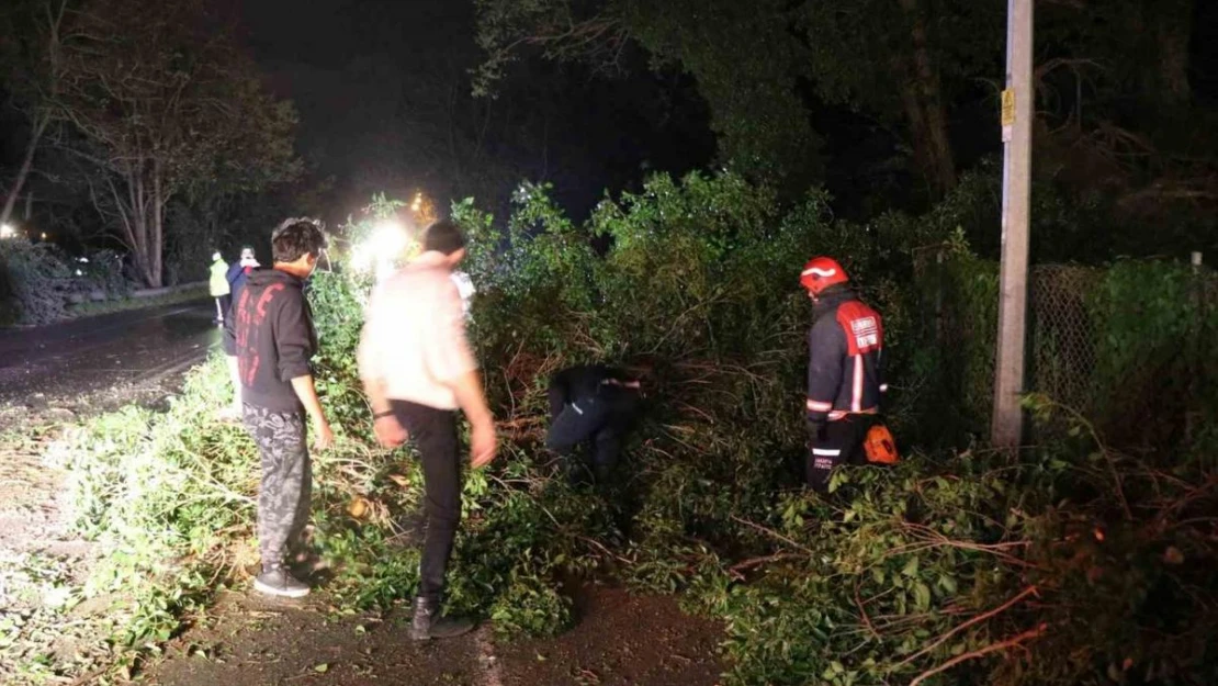 Fırtına, Sakarya'nın turistik ilçesini yıktı geçti