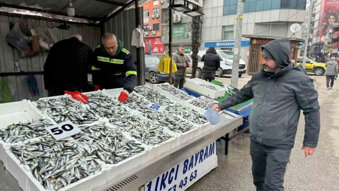 Fiyatı 50 liraya düşen istavrite yoğun ilgi