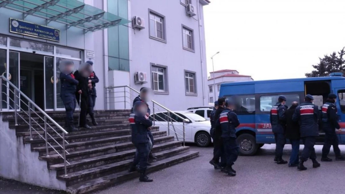 Gaziantep'te 1 ton zeytin çalan hırsızlar jandarmadan kaçamadı