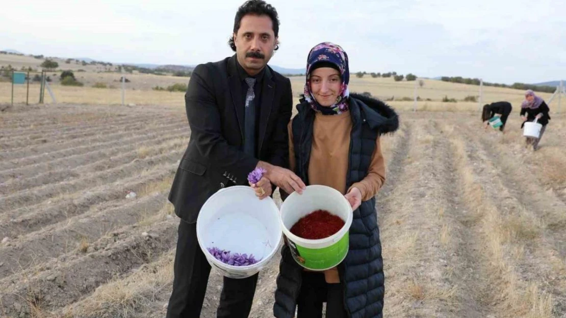 Genç çiftçi adayına altın dokunuş