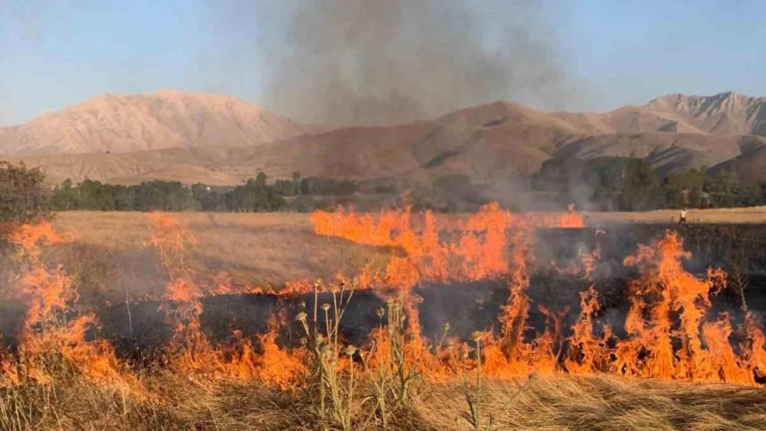 Gevaş'ta ot yangını