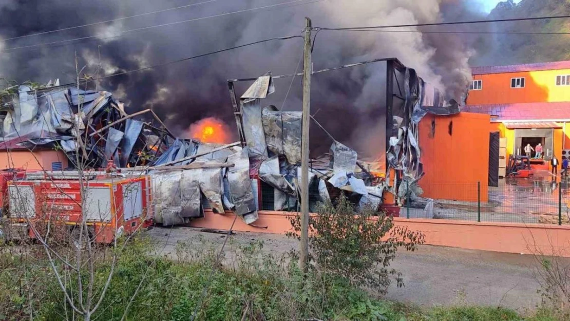 Giresun'da balık tesisinde yangın