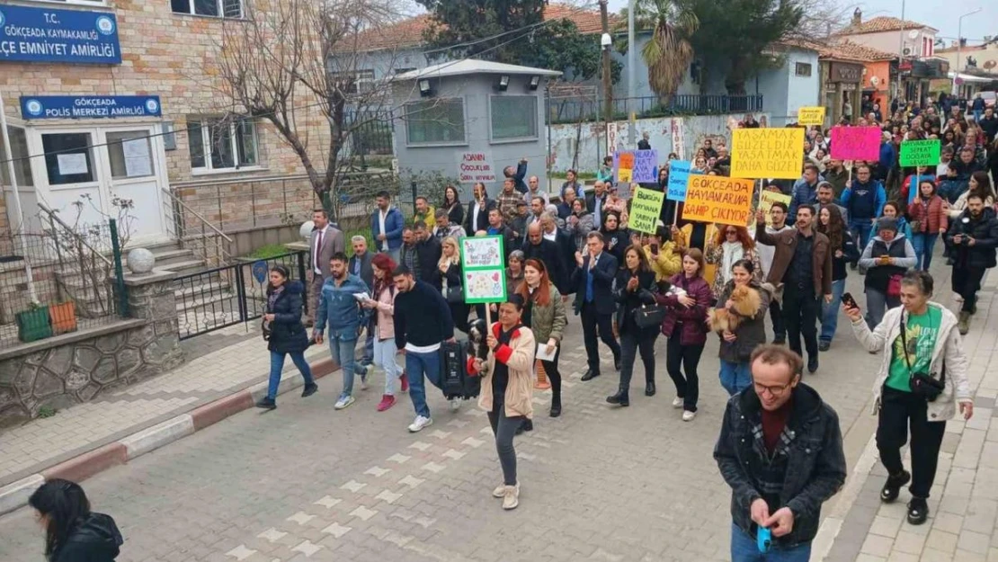 Gökçeada'da sokak hayvanlarının zehirlenmesine tepki