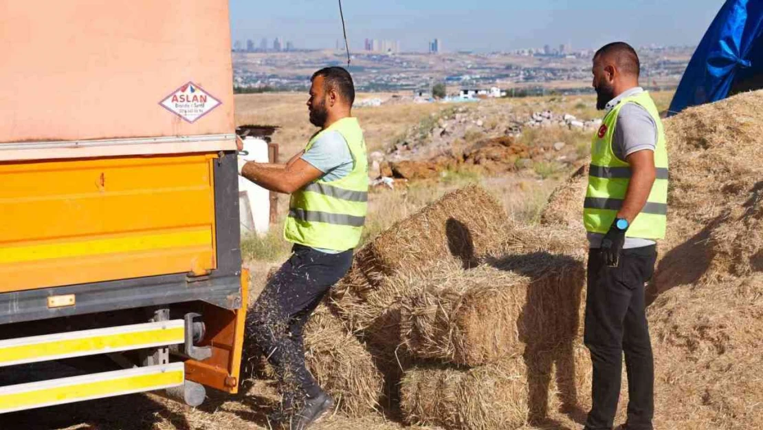 Gölbaşı Belediyesi'nden çiftçiye bin adet saman balyası