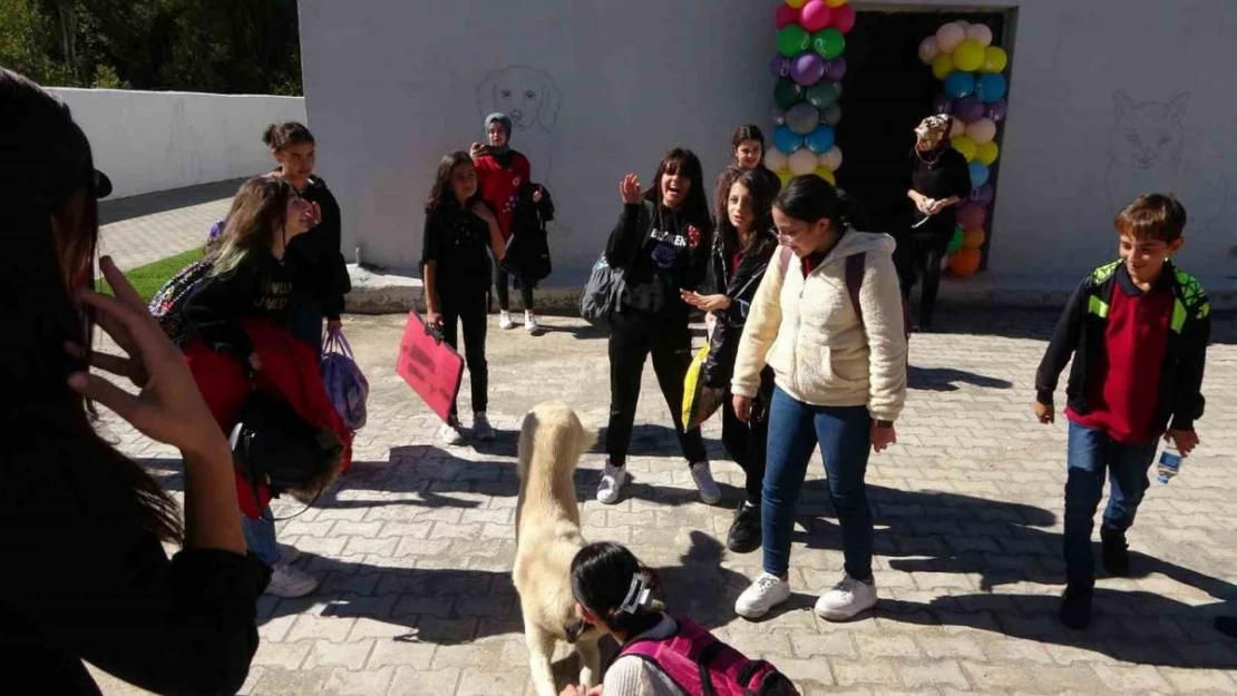 Gönüllü veterinerler, öğrencilere hayvan sevgisini aşıladılar