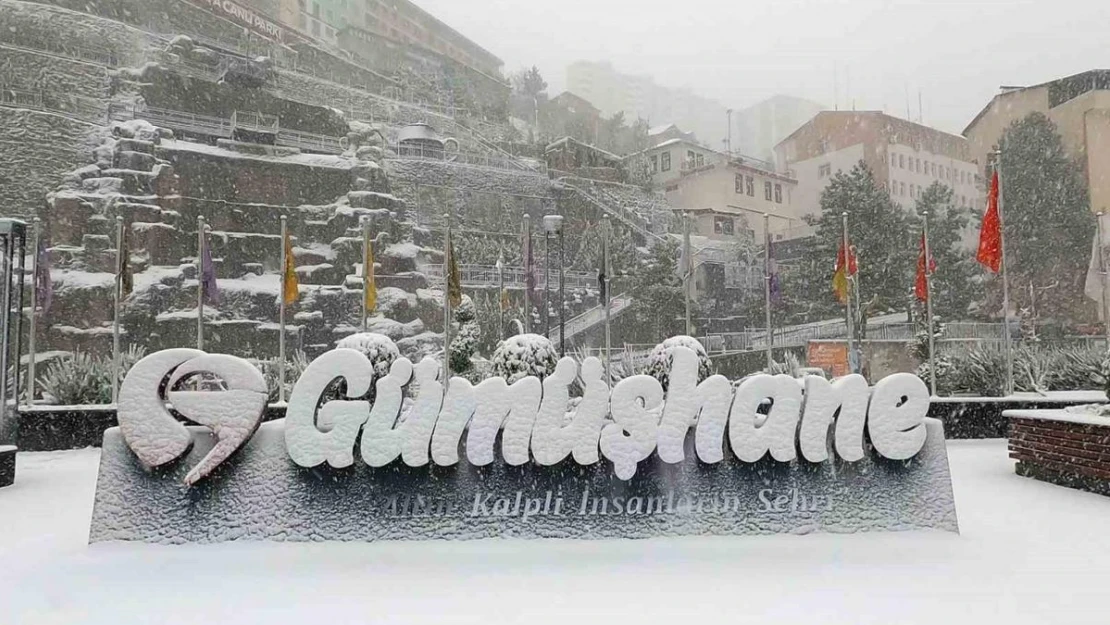 Gümüşhane'de kar yağışı etkili oldu