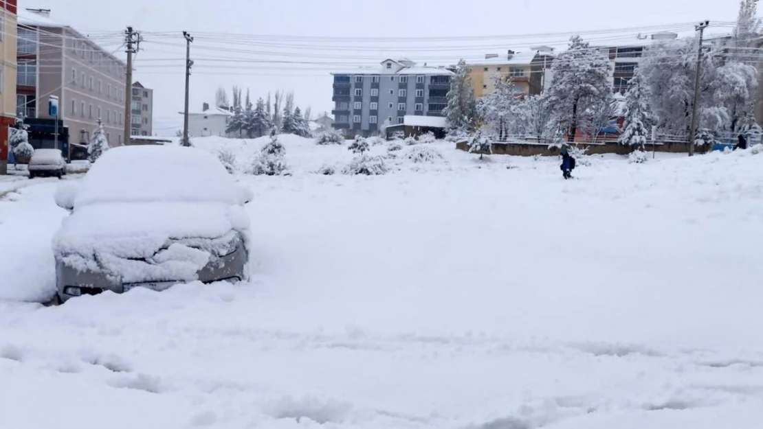 Gümüşhane'de kar yağışı