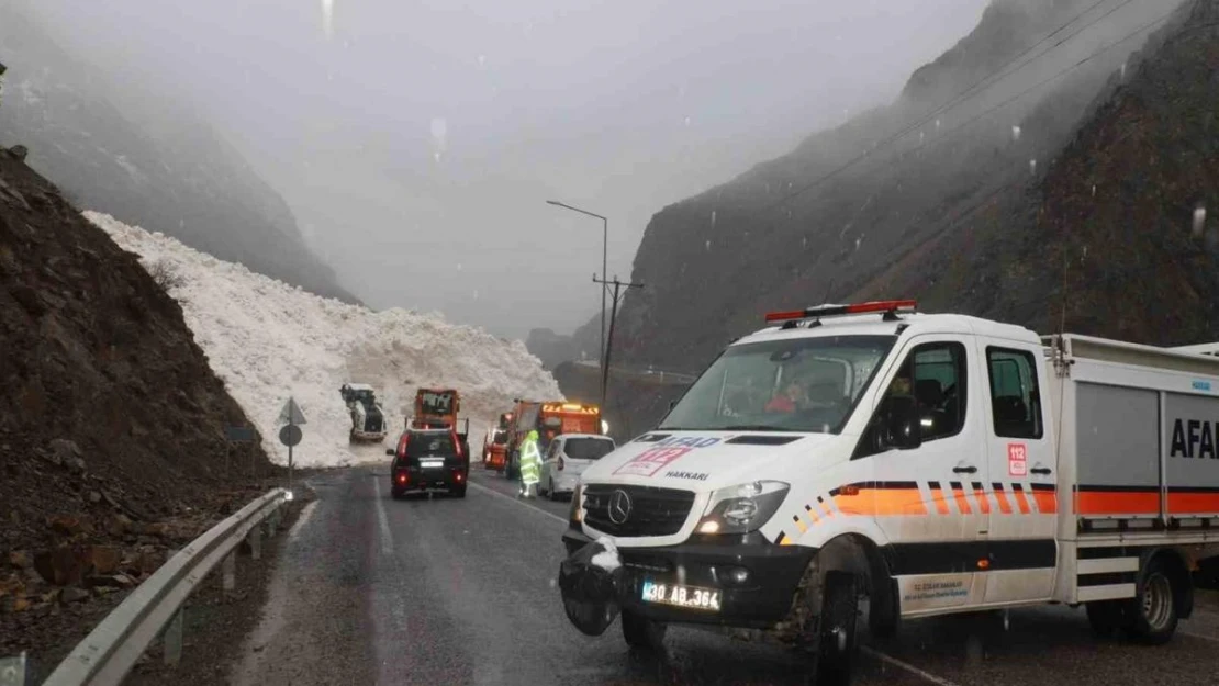 Hakkari-Çukurca kara yolu çığdan temizleniyor