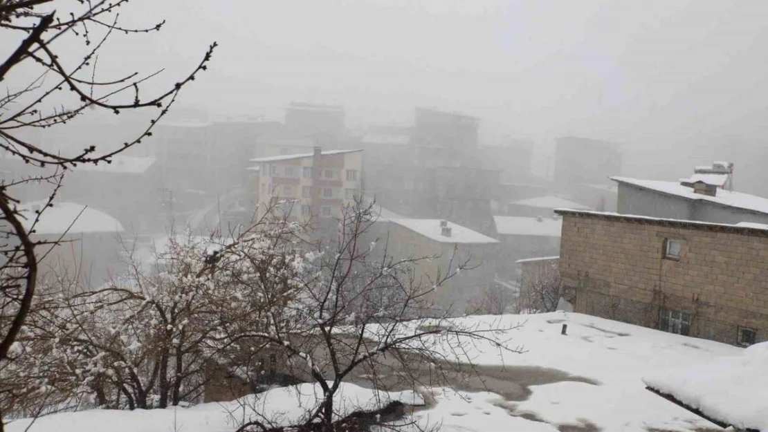 Hakkari'de 23 yerleşim yolu kapandı