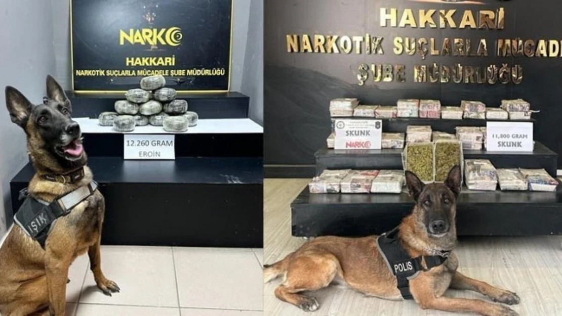 Hakkari'de 24 kilo 60 gram uyuşturucu ele geçirildi