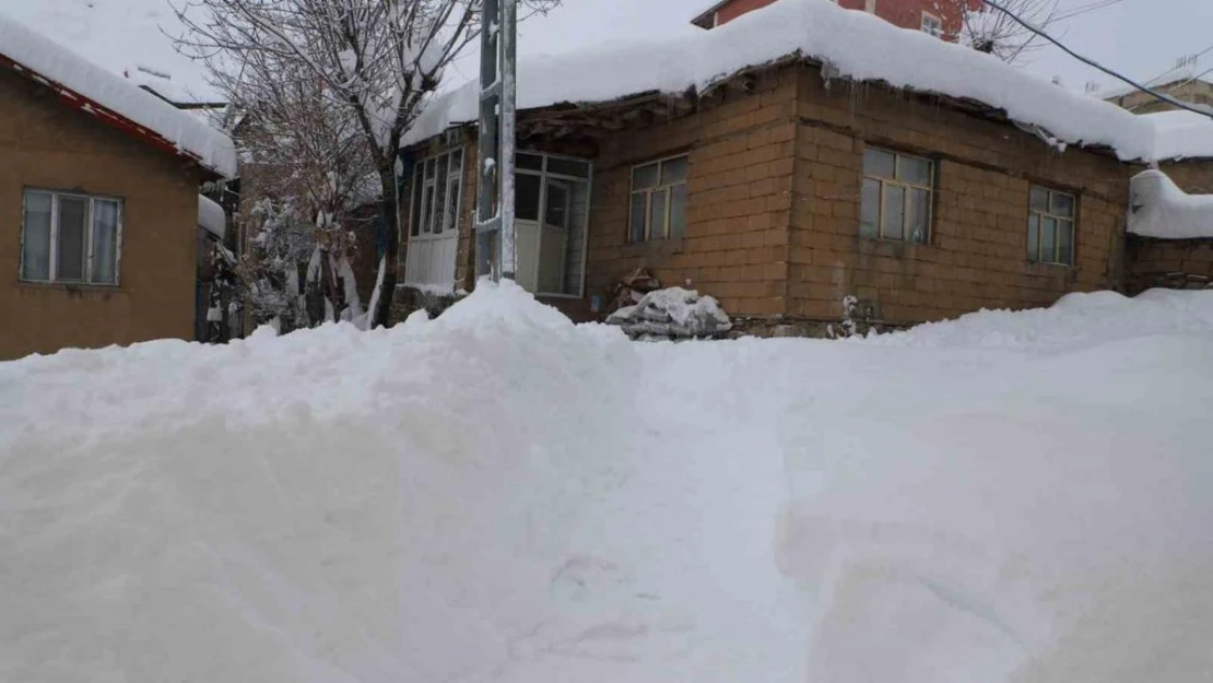 Hakkari'de 355 yerleşim yolu kapandı