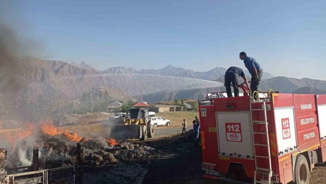 Hakkari'de 600 bağ otu ve kamyonet yandı