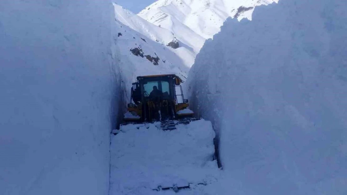 Hakkari'de 7 metreyi bulan karda yol açma çalışması