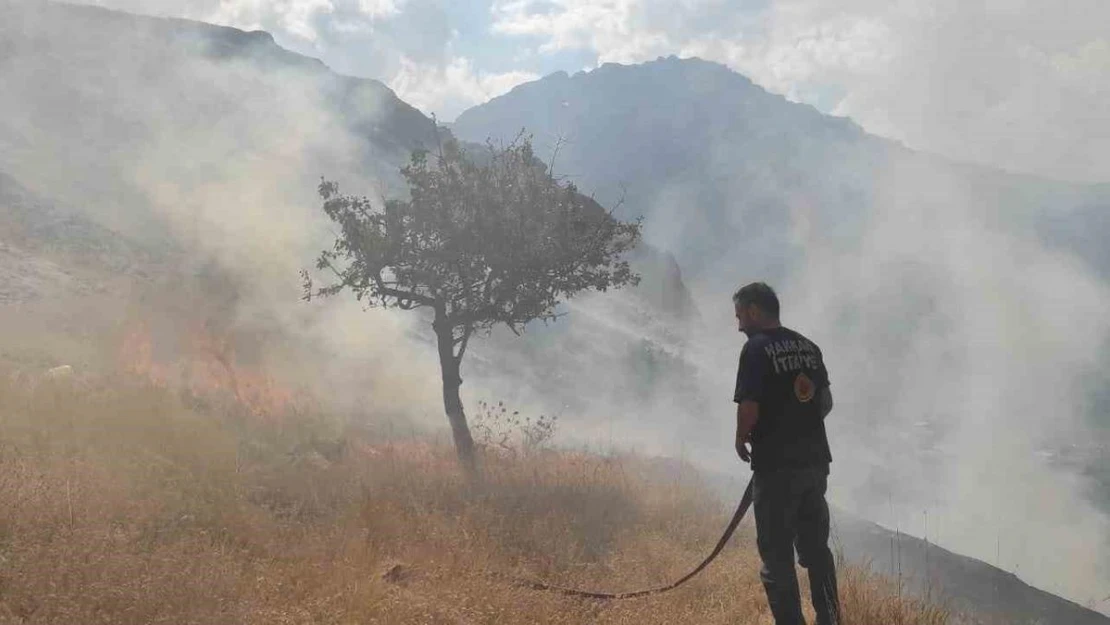 Hakkari'de anız yangını