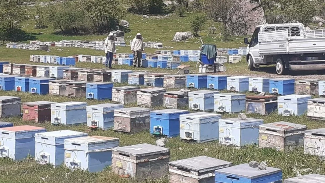 Hakkari'de bal üretim sezonu başladı