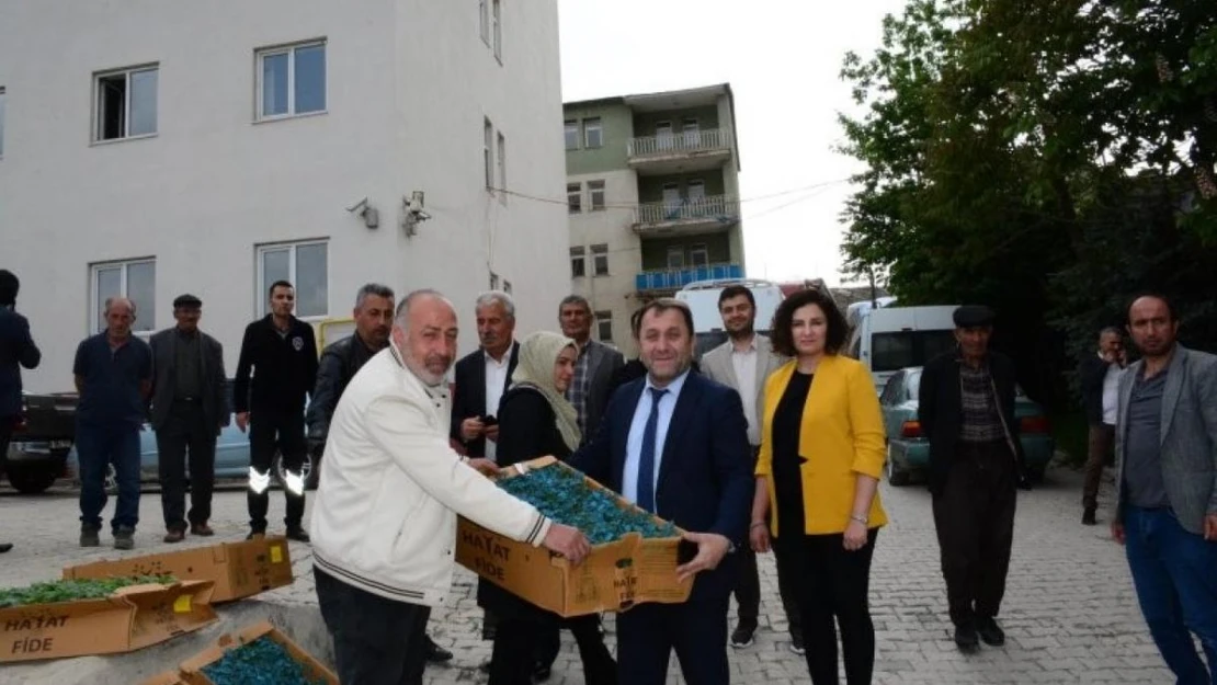 Hakkari'de çiftçilere karpuz ve domates fidesi dağıtıldı