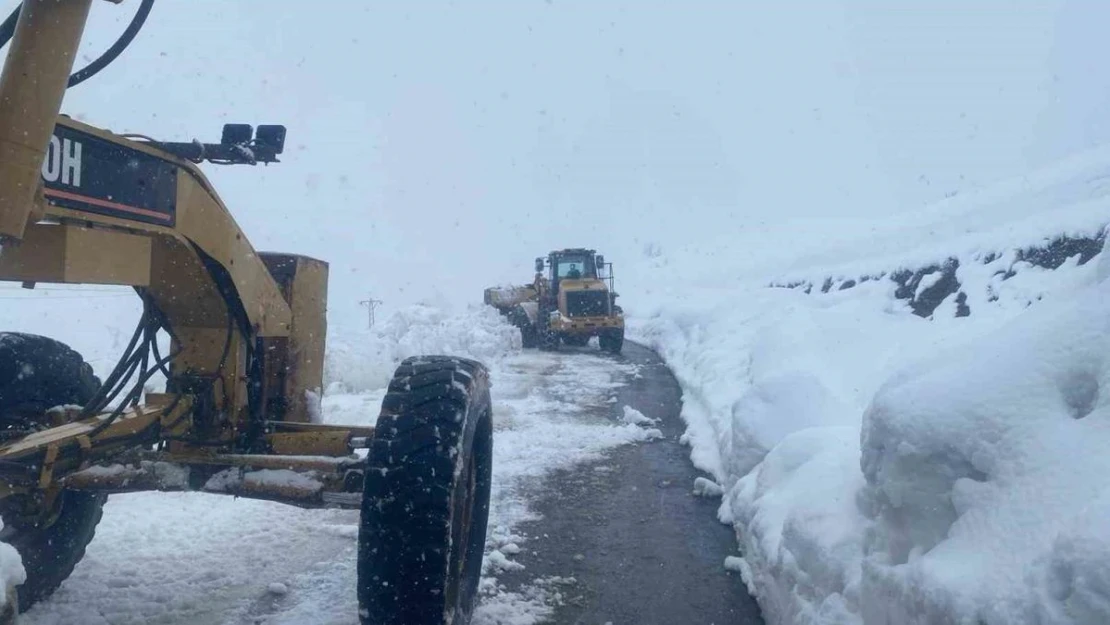 Hakkari'de kapanan 191 yerleşim yolu yeniden açıldı