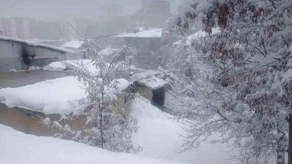 Hakkari'de kar yağışı yerini soğuk havaya bıraktı