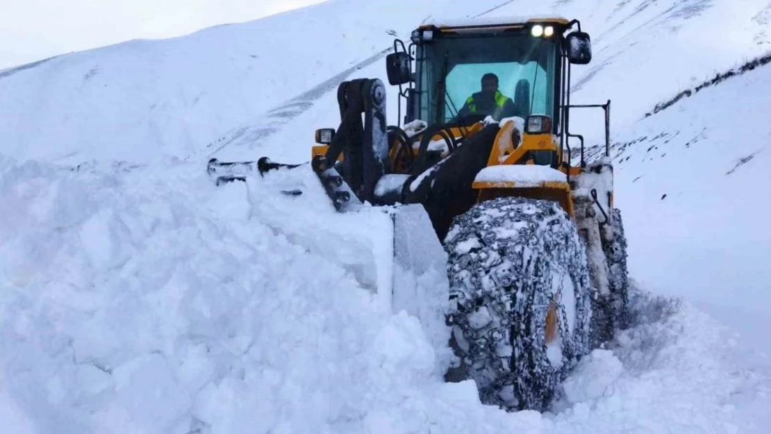 Hakkari'de kardan kapanan yollar tek tek açılıyor