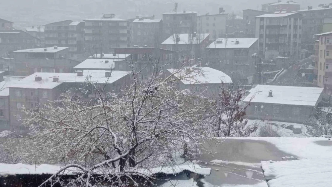 Hakkari'de lapa lapa kar yağışı