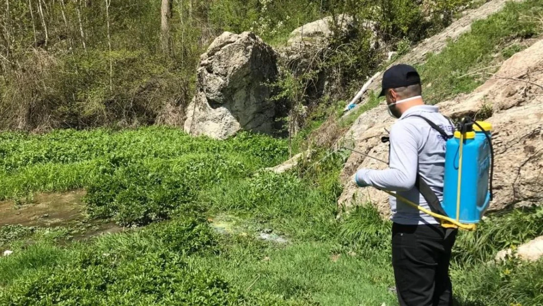 Hakkari'de sineklere karşı ilaçlama çalışmaları