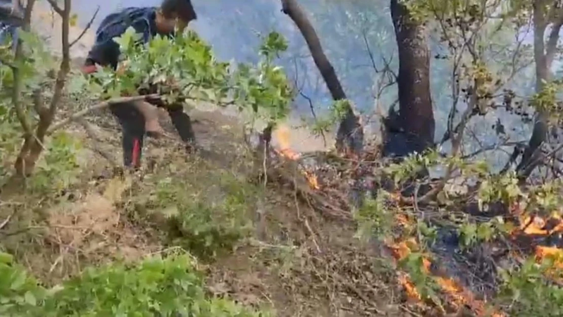 Hakkari'deki orman yangını kısmen kontrol altına alındı