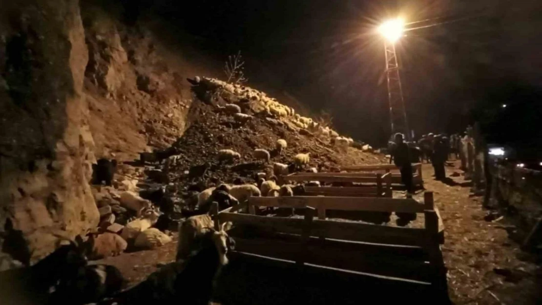 Hakkari'nin Kırıkdağ köyünde toprak kayması