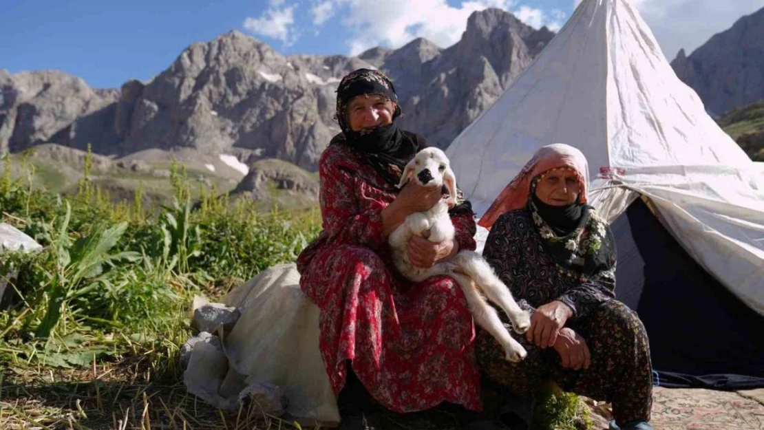 Havalar ısındı, meralar şenlendi