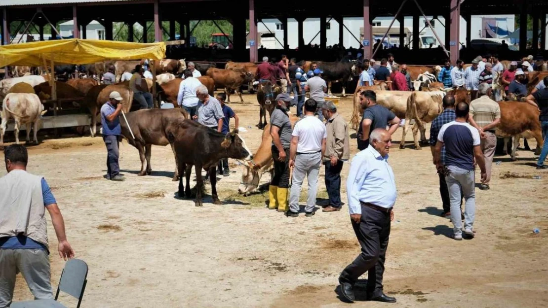 Hayvan hareketleri kısıtlaması 28 Nisan'da son buluyor