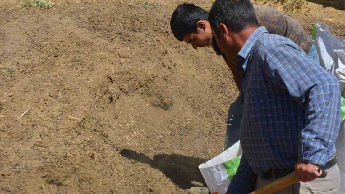 Hayvan yetiştiricilerinin yeni gelir kapısı gübre satışı